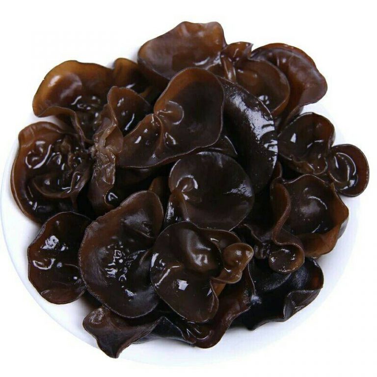 Fresh wood ear mushroom is soft and translucent, with smooth mucus on